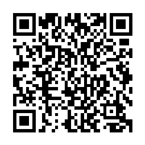 尽管以他的实力能轻易斩杀这只仅仅无极始境一重天的噬生兽二维码生成