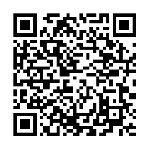 尽管凌兰一开始就安排了不少可以迷惑他人视线的行动二维码生成