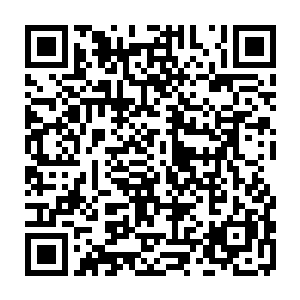 居然不认得污泥和丹药……再怎么说人家也是传承了几千年的大门派好不好二维码生成