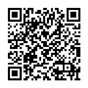 居然是赵美凤和宣发部的副经理杨帆一起进来了二维码生成