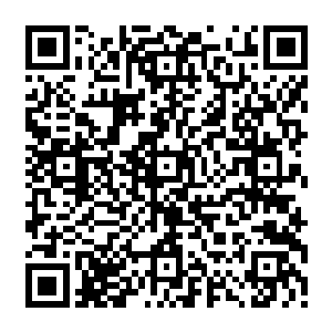 居然有点像是船型的金元宝――也就是张家老爷子的大夫人大寿时发给张家小辈的二维码生成