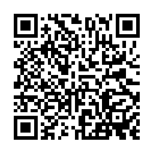 居然跟甄达余那样刚转换了道体的新神实力相差无极……二维码生成