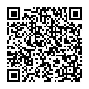 屏幕上出现了那段凌蘭在军部会议上看到的举报她杀虏的影像资料二维码生成