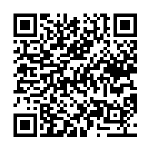 屏蔽隔绝掉敌人小天罗地网对我们母域黑冰的无限抽取二维码生成