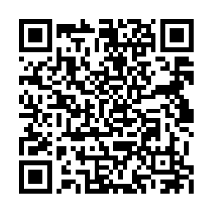 属下已经根据以往我们手中掌握的资料对比过了二维码生成