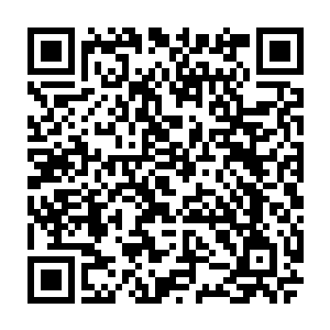 山上二十几年的的确确没有正二八经看过一本秘笈碰过一门武学的师叔祖二维码生成