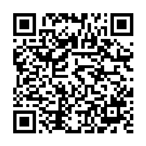 山洞里已经没有了邵玄上一次过来时遇到的那种守护力量二维码生成
