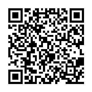 岂不是完全就成了传说中的……不死不灭的长生境界二维码生成