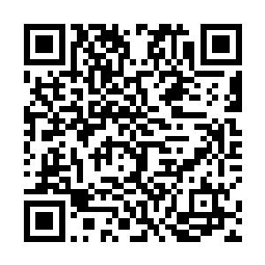 岑国树知道这件事情不管是不是当时他是故意被设计的二维码生成