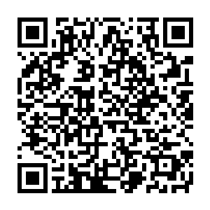 岳恒感觉到皮肤表层产生的透明才气护甲将这股力量均匀分配到全身二维码生成