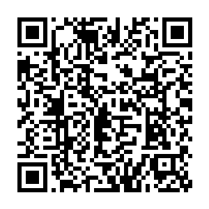 崔德成狞笑着用手里的锯齿状刀锋狠狠的锯向马上就要断裂的那根古藤二维码生成