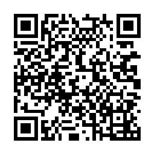 巡城司与城内绿林人的厮杀似乎短暂地降到了低点二维码生成