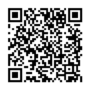 左手无名指上戴着的那枚婚戒轻轻拧了一圈过后二维码生成