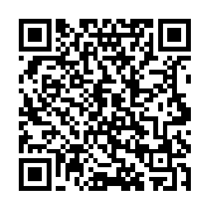 左无忌与他就这般好似斗鸡一样的彼此互相狠狠瞪视二维码生成