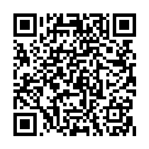 巨人族族长和雨族族长心中倒是升级了一丝欢喜二维码生成