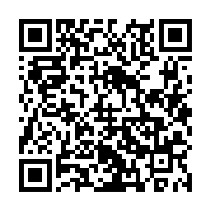 巨兽不杀江逸还传递一种善意是希望江逸破开这混沌湖二维码生成