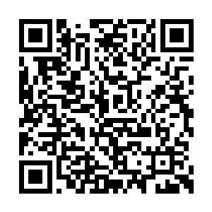 巨阳仙僵恐怕都已经恢复到了无上大宗师的境界二维码生成