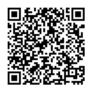 差不多也正是万千玩家和各个工作室的耐心到达临界点的时候……二维码生成