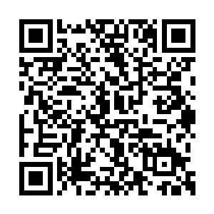 已然和青木原林海中古老田山家族族主握手言和二维码生成