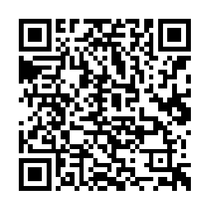 已经不亚于修炼了第五击的乔天理了……前四击二维码生成