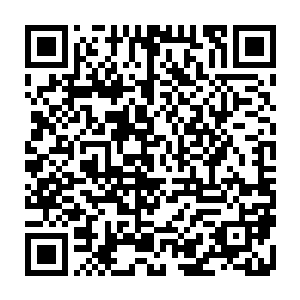 已经传到了龙鳞城高层的耳中――本地区出现了一个不受控制的高端战力二维码生成