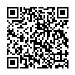 已经冲到大殿另一头的三名问道修士看着眼前的两个拱形圆门二维码生成