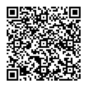 已经可以很清楚的感觉和听到峰顶附近三个大地骑士正在破开秘藏之珠所带来的响动二维码生成