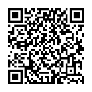 已经在计划干掉或收服阿乌族后立刻抢收那些未来的衣服二维码生成