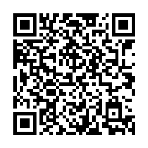 已经在轩辕无极的护卫队伍之中带起了一阵混乱和腥风血雨二维码生成