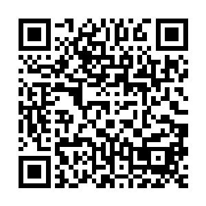 已经完全占据了优势的人类并没有去消灭这些丧尸或者智慧丧尸二维码生成