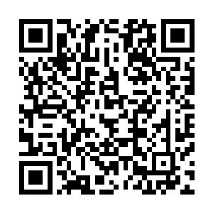 已经完全把苏芷妍和钟杨颖带入了另外一个光陆离奇的世界二维码生成