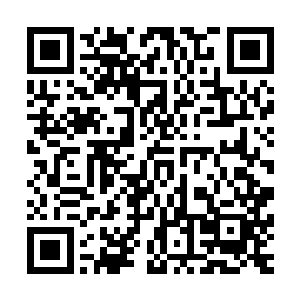 已经完全碾压了黑蝎的熊孩子也忍不住发出了一阵得意的大笑二维码生成