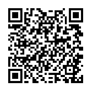 已经将凌儿的思维调成了一种固定的模式――机器二维码生成