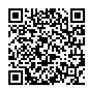 已经得到他们回来的消息的泽田弘树就立刻迎了上来二维码生成