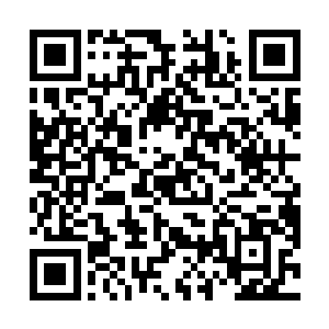 已经成为当下一片下行局面的国内经济中的两大亮点了二维码生成