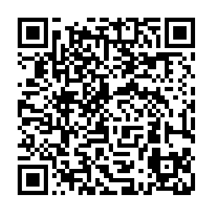 已经把早上发生在芝安一中的毒气泄漏事件以及胖子张真变瘦的奇迹播放了出来二维码生成
