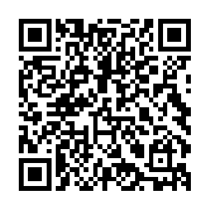 已经把自己的身体在石头上尽量伏低的张铁在心里默默祷告着二维码生成