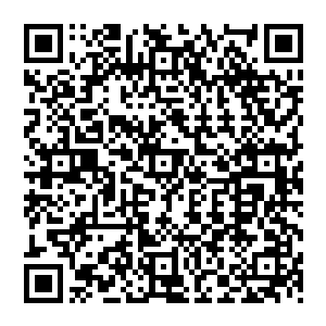 已经搞的好几个当初跟她关系不睦的护士辞职或是被开除了……或许也就是因为这种要风得风二维码生成