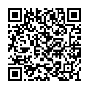 已经无法彻底避开的苏凡只能够护住自己的要害二维码生成