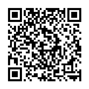 已经是一地支离破碎的血肉骨头在场的人不少头皮发麻二维码生成