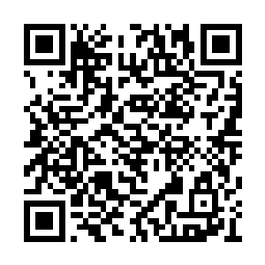 已经有一个龙皇神殿的执事和一辆车在等着众人二维码生成
