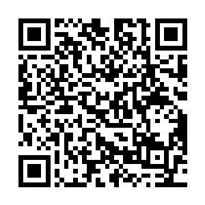 已经有好长时间没有见到风暮寒的这只传信的大乌鸦了二维码生成