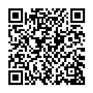 已经没有办法再继续拍摄帕翠西娅和尼古拉斯・凯奇的对手戏二维码生成