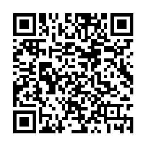已经着令弟子在执法堂总坛整理出一间上等的小院二维码生成
