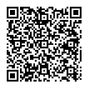 已经见怪不怪的看到一长相介乎普通和清秀之间的十三岁少年在练武场上做出各种动作二维码生成