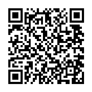 已经让秦方他们将这一片接近一半的区域都扫荡过了二维码生成