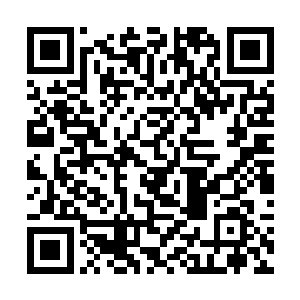 巴克捞出自己的美人鱼用厚厚的浴袍把牟晨菲抱出来二维码生成