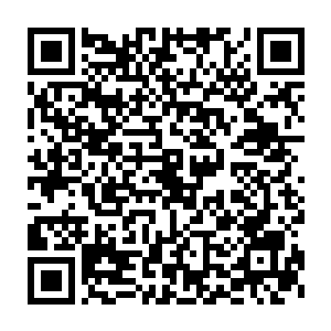 巴克的确从匡伟当初的小向和小婉这两个不一样的称呼中辨别点东西二维码生成