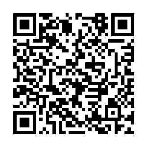 巴士车的车头仿佛狠狠的撞在了一面无形的墙壁上二维码生成