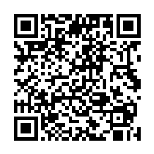 巴天浩所在的小集体是建设农场的一群退伍老兵们自建的二维码生成